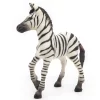 Малка Зебра 11см,  Baby Zebra Papo 50123