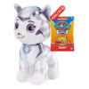 RORY CatPack 6064754/20138026