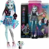 Frankie Stein Monster High HHK53